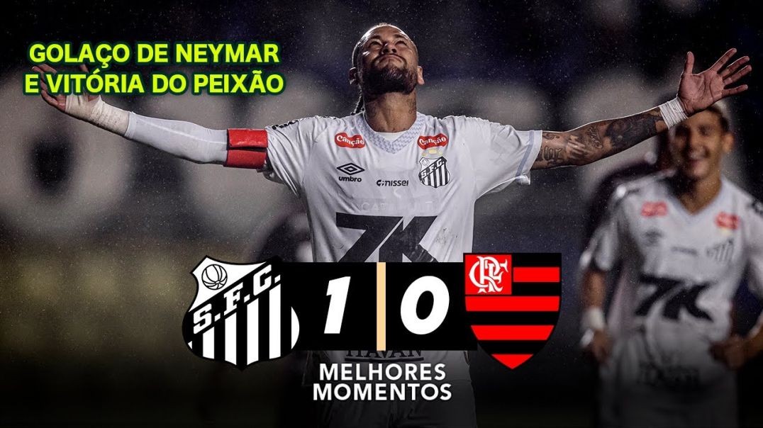 Santos vs. Flamengo 1 - 0 I Game Highlights I Brasileirão 2025